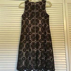 Eliza J Cocktail Shift Dress